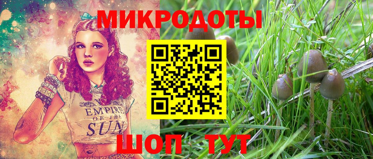 Киров  Галлюциногенные грибы GOLDEN TEACHER  Вход с VPN  Псилоцибиновые грибы GOLDEN TEACHER 